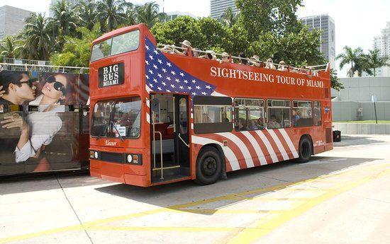Blue and Red Line Bus Logo - Red Line & Blue Line Tour Line Miami Hop on Hop off Bus