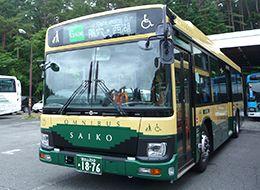 Blue and Red Line Bus Logo - Kawaguchiko Sightseeing Bus (Red-Line), Saiko Sightseeing Bus (Green ...
