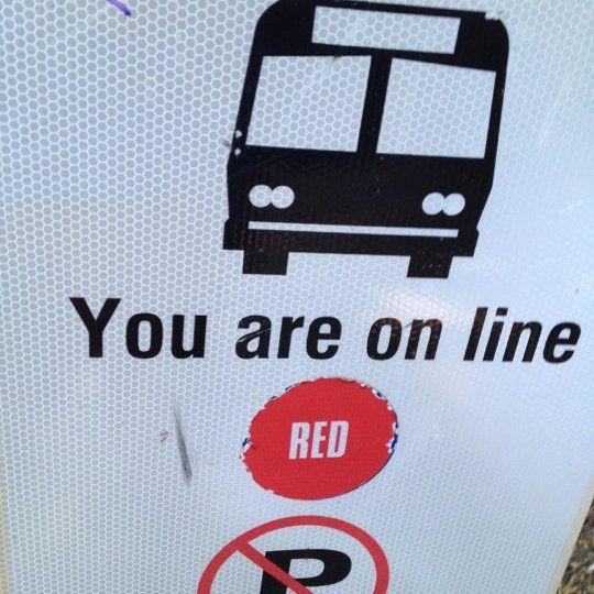 Blue and Red Line Bus Logo - Photos at Red Line Bus Route - 1 tip