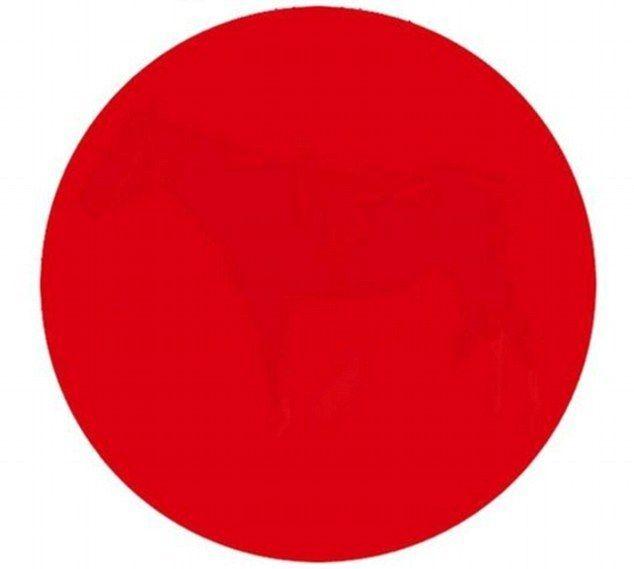 A Inside the Red Circle Logo - Can You See What's Inside The Red Circle? Latest Optical Illusions