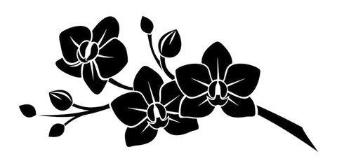 Black Flower Logo - Search photos Category Plants and Flowers > Flowers > Orchids