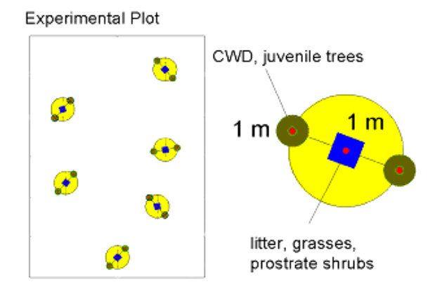 Tree in a Yellow Circle Logo - Sa mple description: the centre of the yellow circle is randomly ...