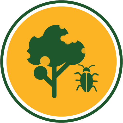Tree in a Yellow Circle Logo - Precision Tree & Landscape ♢ Hackettstown, NJ ♢ Licensed Tree Expert