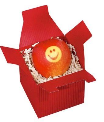 Red Square Box Logo - EconoPromo. BIKINI REAL RED APPLE & LOGO in Red Square Presentation Box