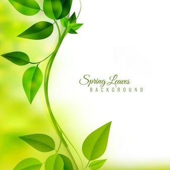Text Green Logo - Nature vectors, +000 free files in .AI, .EPS format