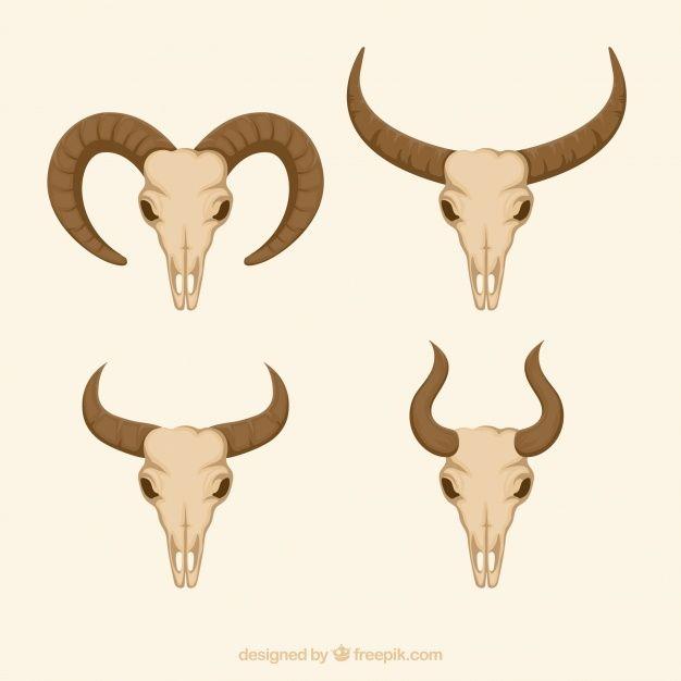 Horned Animal Logo - Horned animal skull set Vector | Free Download