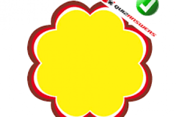 Rainbow Flower Logo - Rainbow Flower Logo Quiz