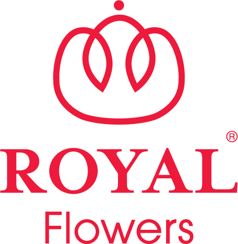 Flower with Red Oval Logo - Royal Flowers Group