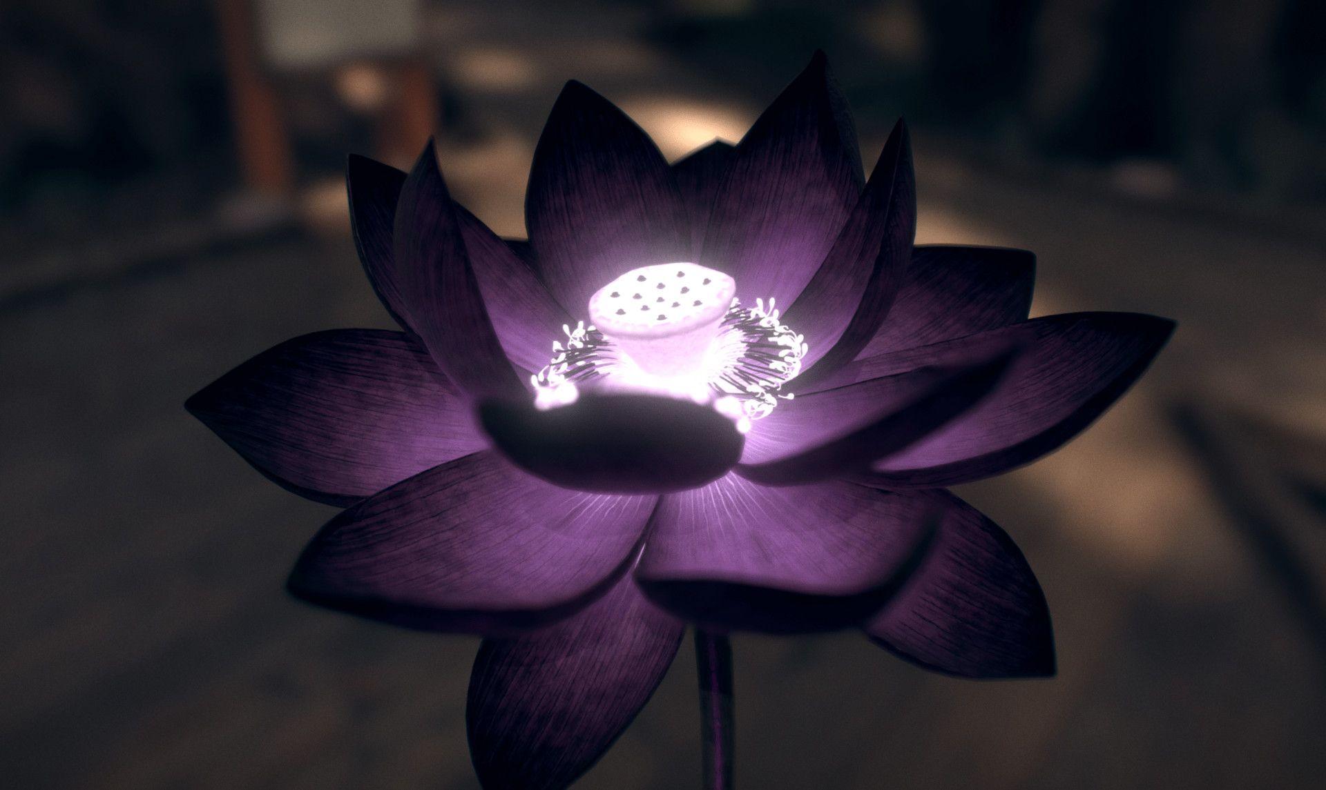 Black Lotus Flower Logo - ArtStation - Black Lotus, Frank Moussette