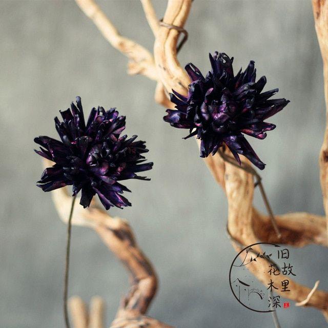Black Lotus Flower Logo - Purple, black lotus, grass stick flower, clothing shop, coffee shop ...