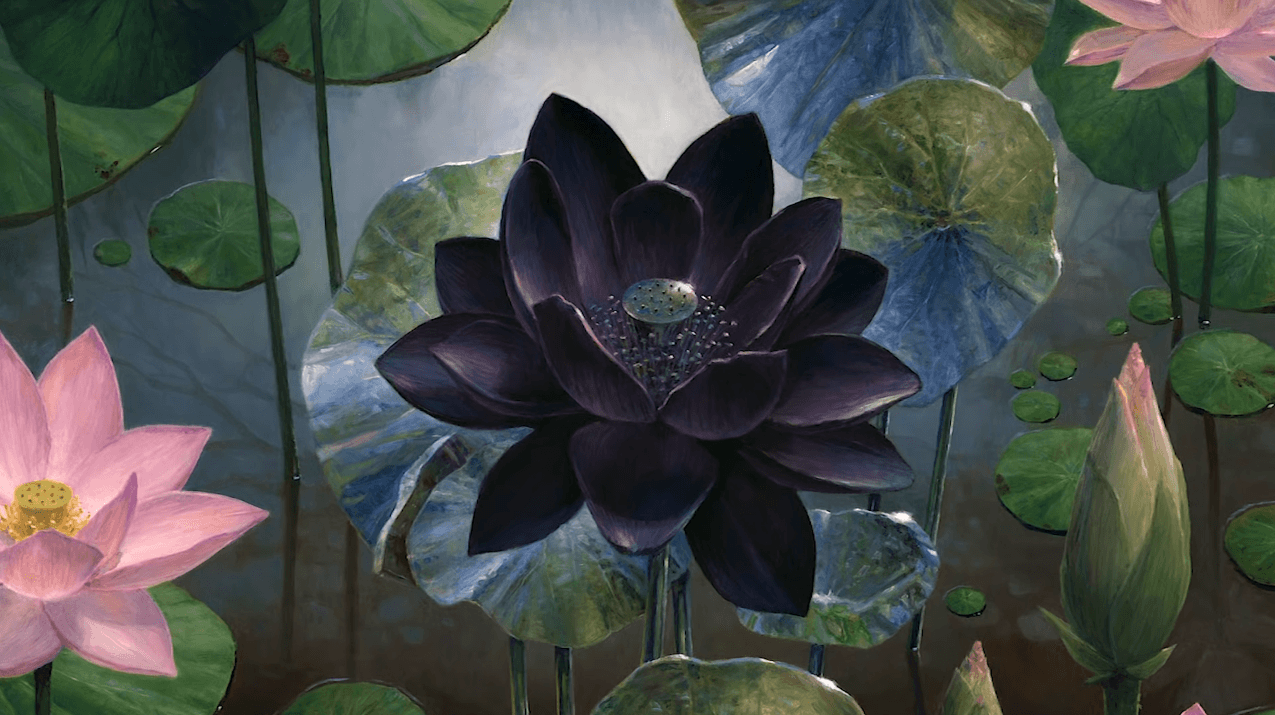 Black Lotus Flower Logo - Here's a quick documentary explaining Magic's legendary Black Lotus ...