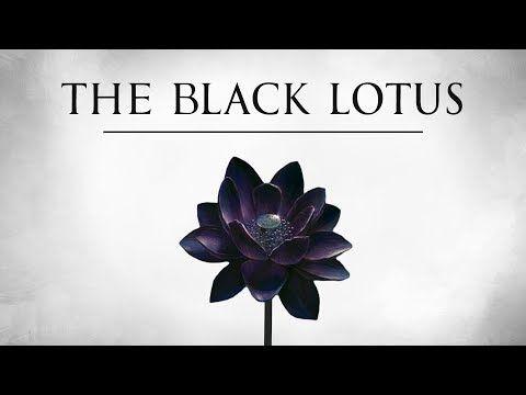 Black Lotus Flower Logo - The Black Lotus Documentary Films