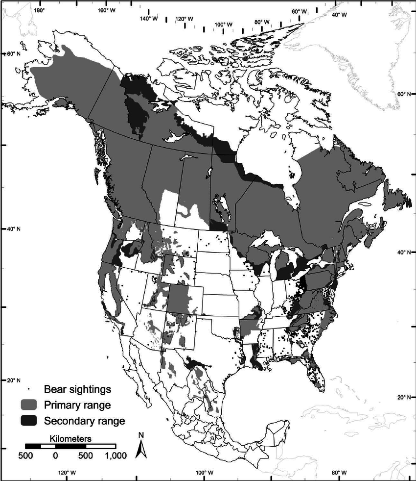 Black North America Logo - Estimated primary and secondary range for American black bears in ...