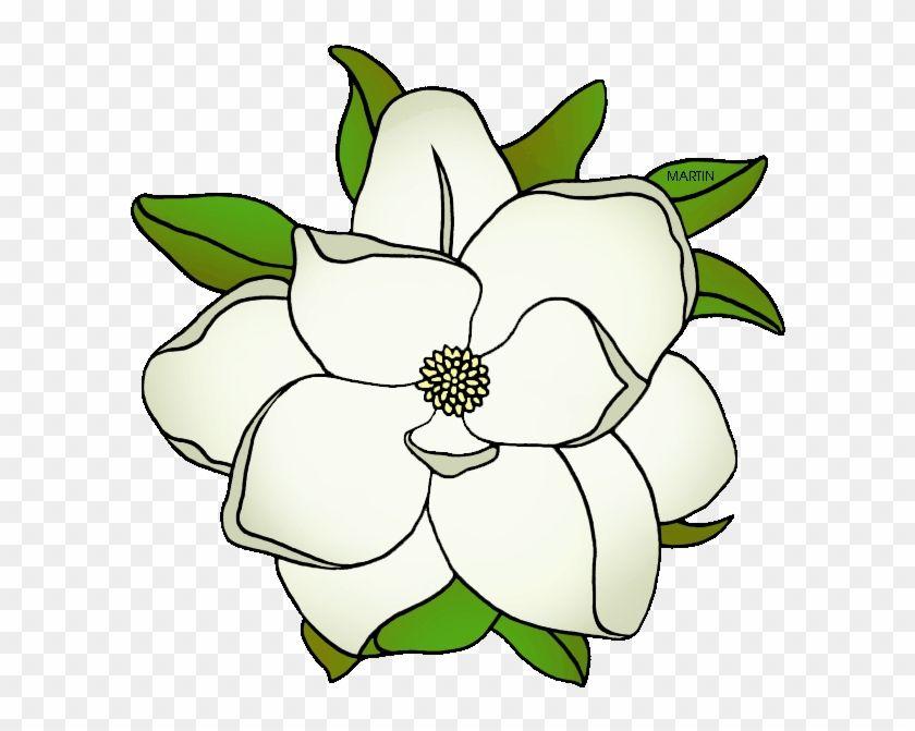 Magnolia Flower Logo - Louisiana State Flower - Magnolia Flower Clipart - Free Transparent ...