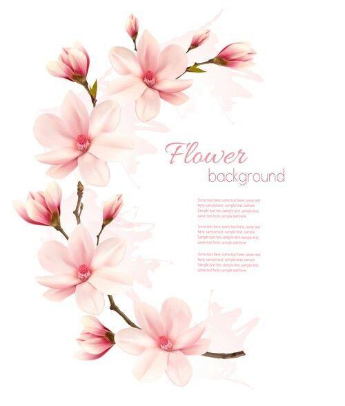 Magnolia Flower Logo - Magnolia repinned | fabric painting | Pinterest | Flowers, Magnolia ...