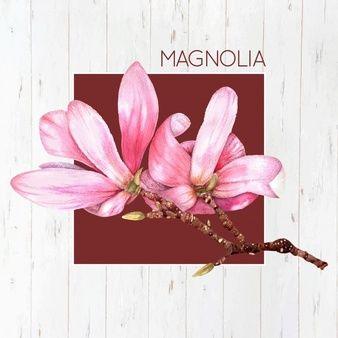 Magnolia Flower Logo - Magnolia Vectors, Photo and PSD files