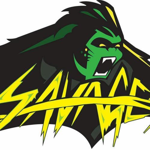 Savages Football Logo - Southern Illinois Savages
