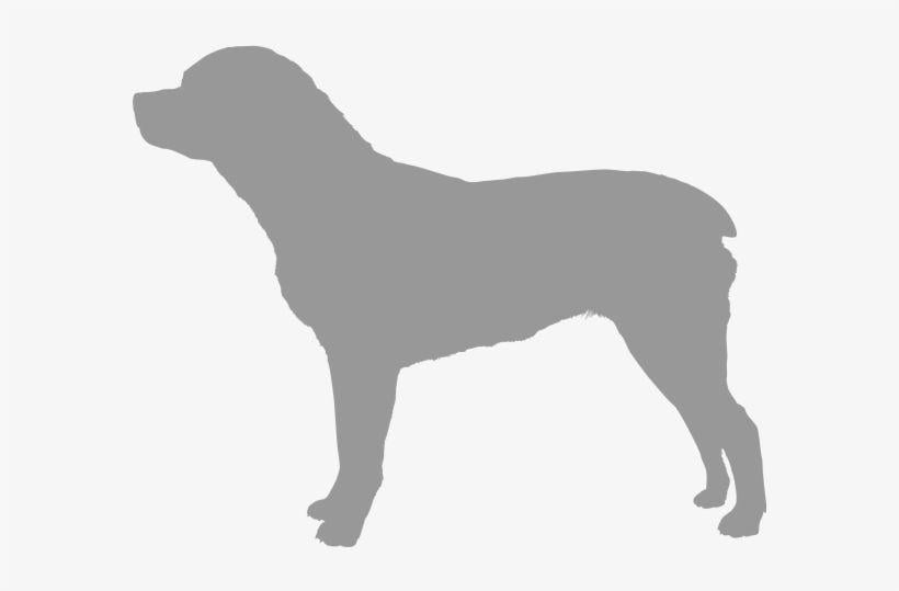 Pink Dog Logo - Logo Png Puppy Complete Rich In Turkey & Rice Secret Pink