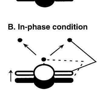 Pointed C Logo - A-C Schematic diagram of the experimental design. Subjects pointed ...