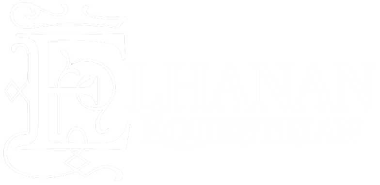Blue Star Camp Logo - Blue Star Horseback Skills Camp — Elhanan Equestrian