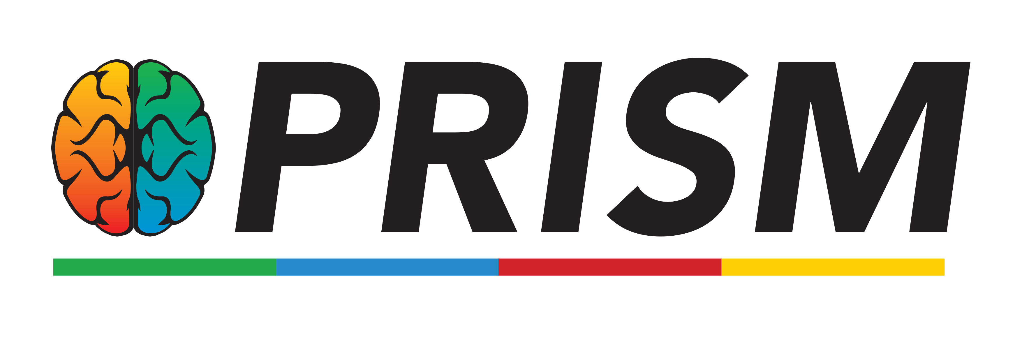 Prims Logo - PRISM Brain Mapping. What is PRISM?