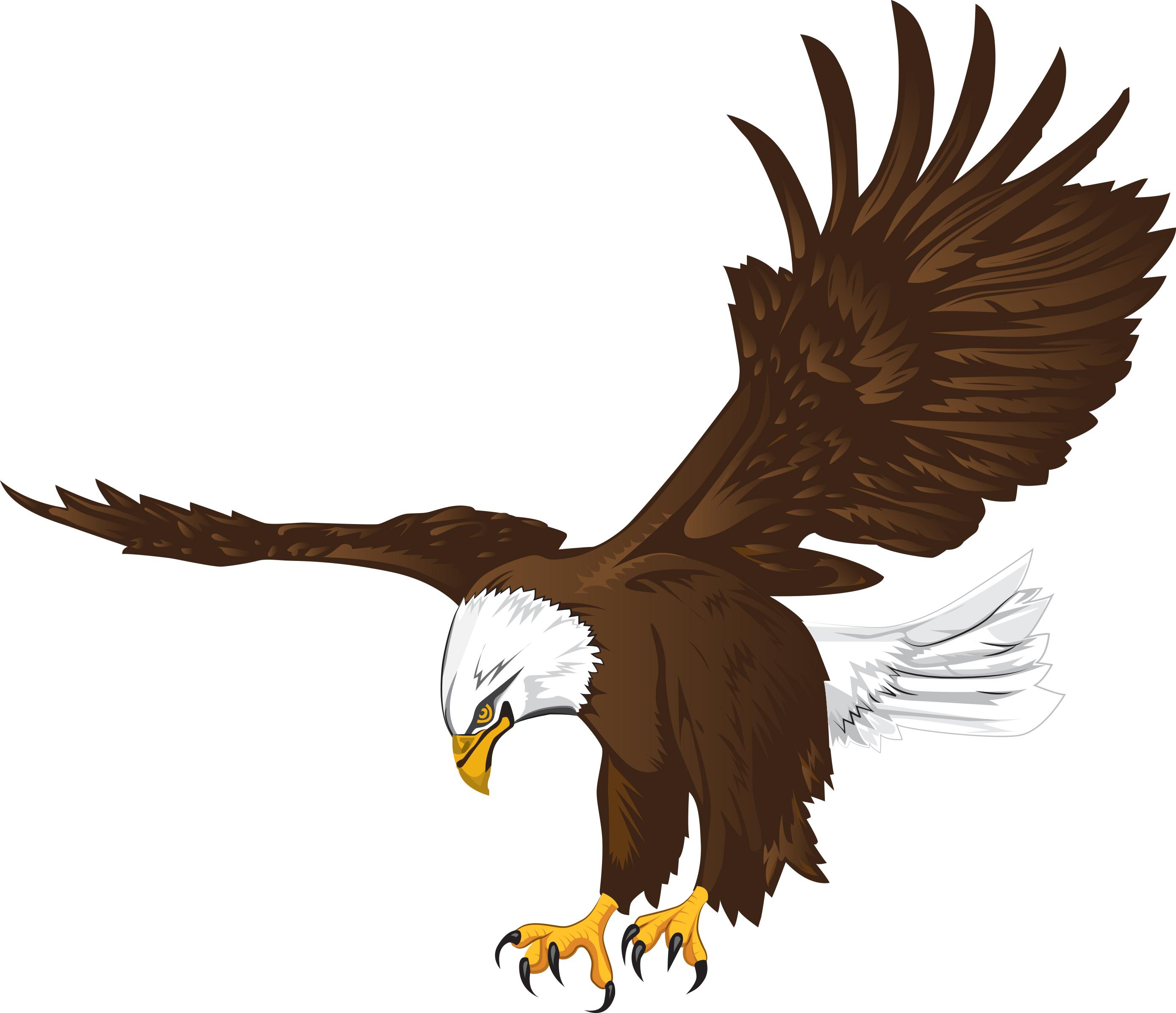 Bald Eagle Logo - Lakes Eagles Logo
