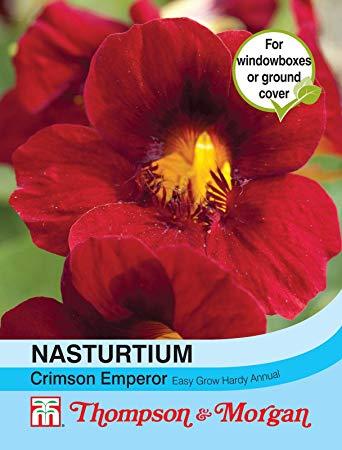 Crimson Emperor Logo - Thompson & Morgan - Flowers - Nasturtium Crimson Emperor - 30 Seed ...