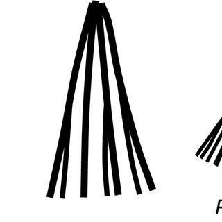 Three Black Lines Logo - Photos of the Orthis fissicosta holotype from the American Museum