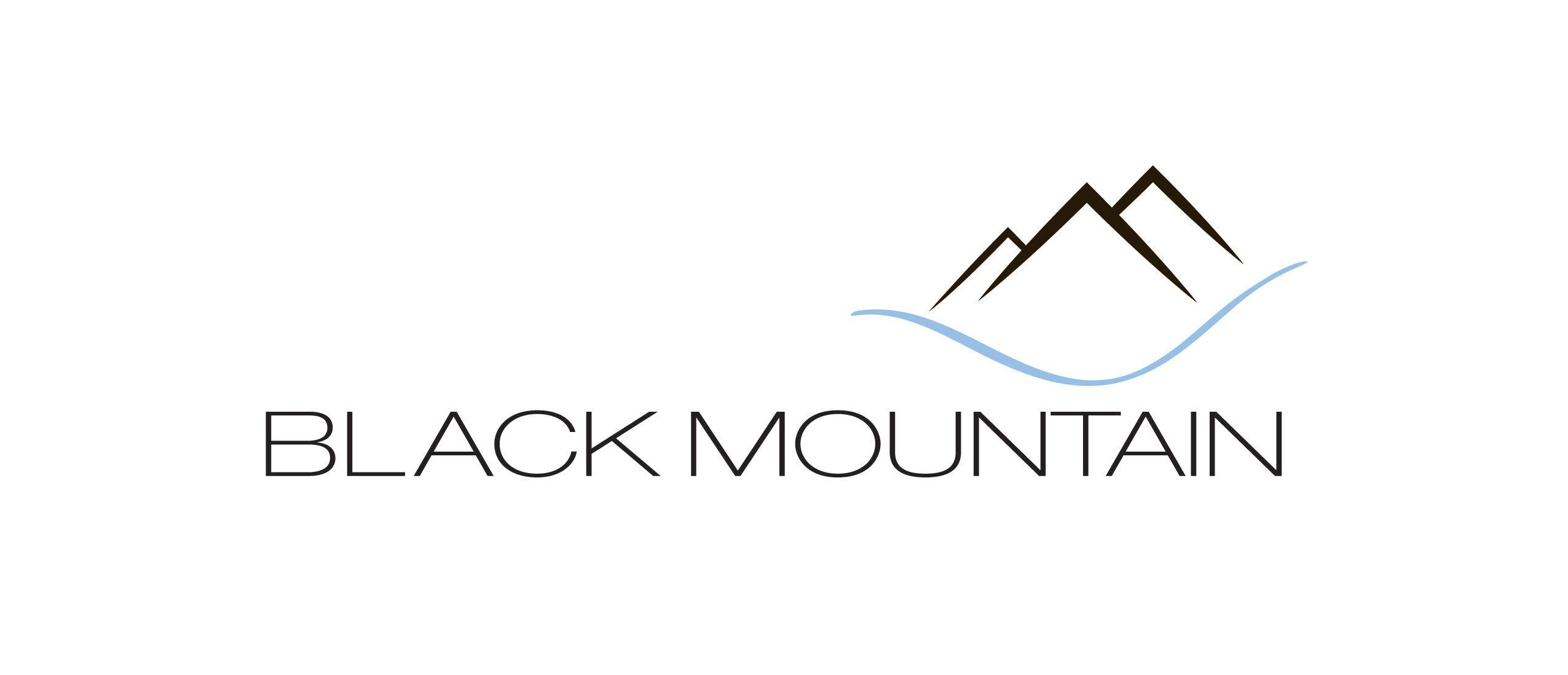 Black Mountain Logo - Co Employment (PEO). Black Mountain HR