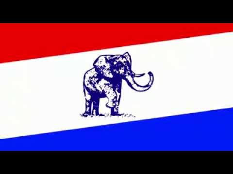 NPP Logo - NPP 2017 Delegates Conference - Nak TV - YouTube