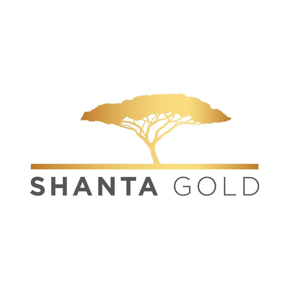 Gold Mining Logo - Shanta Gold