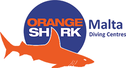 Orange Shark Logo - Orange Shark