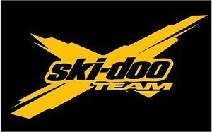 Ski-Doo Logo - SKI DOO TEAM X 12 DECAL Snowmobile Sticker Truck Renegade