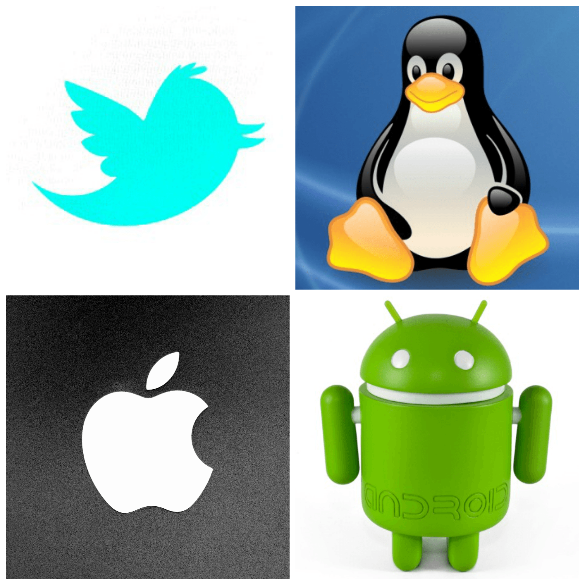 Penguin Logo - The stories behind well-known tech logos and mascots - Maxxor Blog