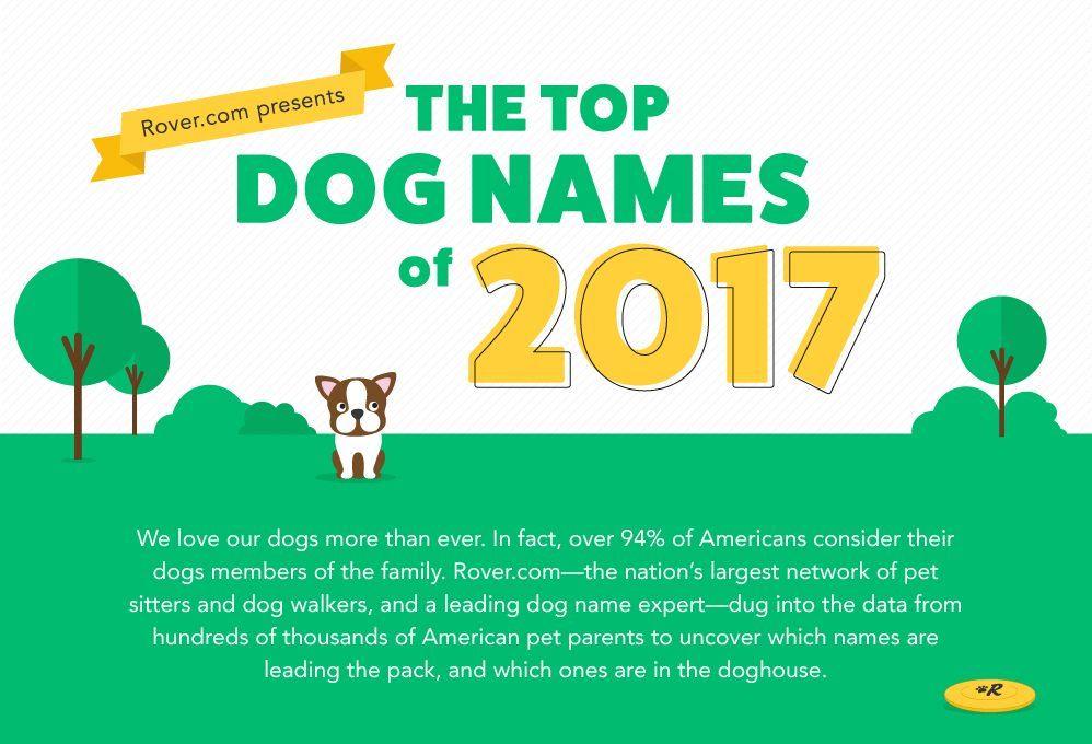 Rover Pet Sitting Logo LogoDix