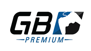 Game Battle MLG Logo - GameBattles Premium – 1 Month – MLG Store
