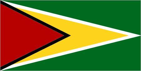 Green with Yellow Triangle Logo - Flag of Guyana | Britannica.com