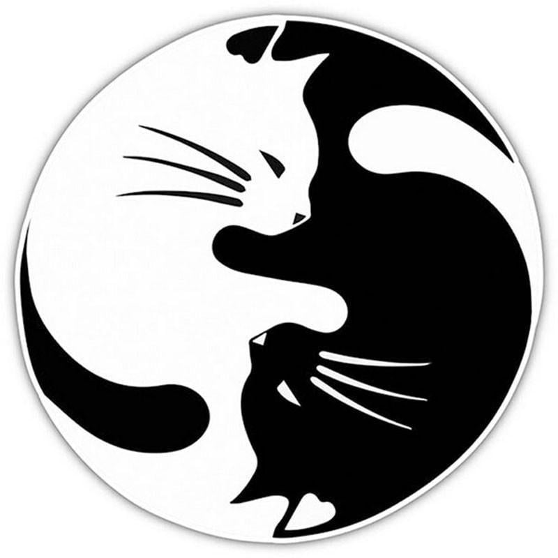 Yin Yang Black and White Box Logo - Yin Yang Cat Car Decal