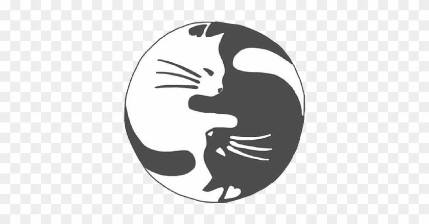 Yin Yang Black and White Box Logo - Black And White Cats Grunge Pastel Kittens White Cat - Cat Yin Yang ...