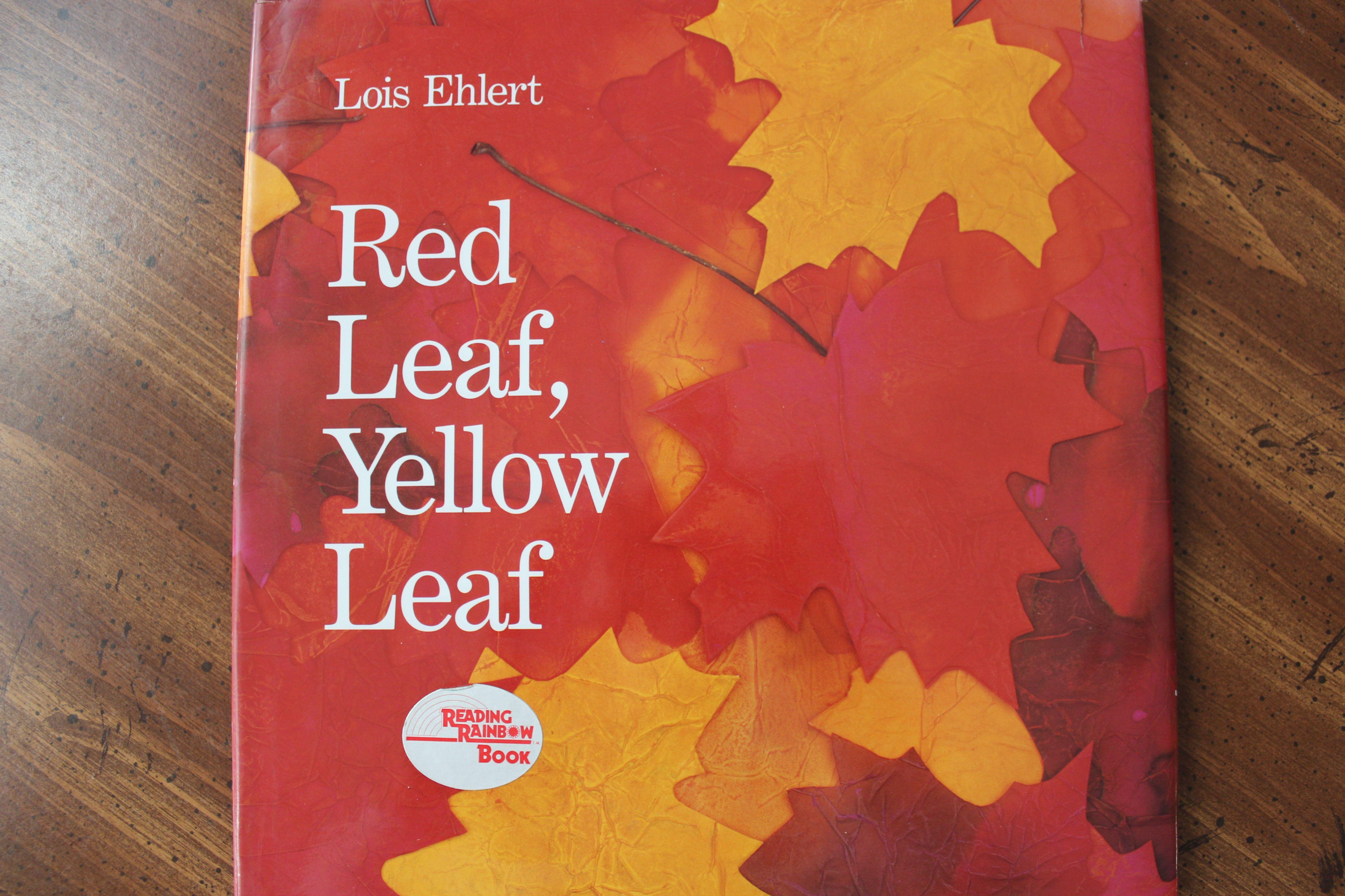 Red Leaf Yellow Logo - Red Leaf, Yellow Leaf Activity - Teaching Mama