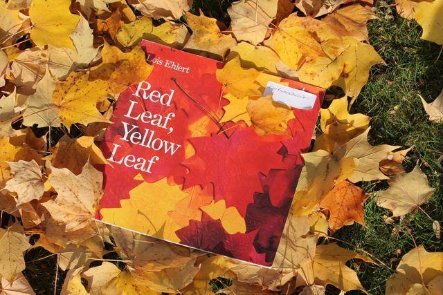 Red Leaf Yellow Logo - Happy Birthday Author: Happy Birthday, Lois Ehlert - November 9
