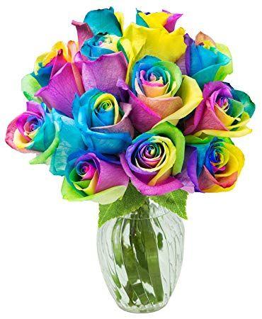 Flower Half Rainbow Logo - Amazon.com : KaBloom Valentine's Day Collection: Bouquet of 12 Fresh ...
