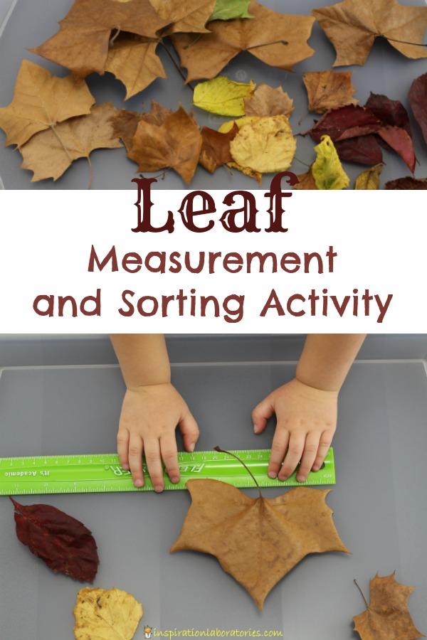 Red Leaf Yellow Logo - Leaf Measurement and Sorting Activity | Inspiration Laboratories