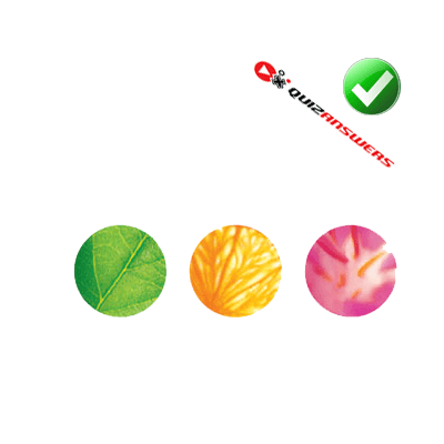 Pink Yellow Green Circle Logo - Green Yellow Pink Dot Logo - Logo Vector Online 2019