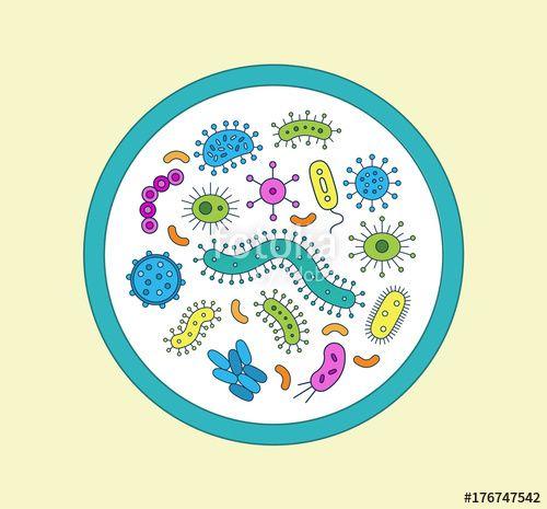 Pink Yellow Green Circle Logo - A circle of Germs / Bacteria - vector illustration - blue, pink ...