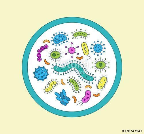 Pink Yellow Green Circle Logo - A circle of Germs / Bacteria illustration, pink