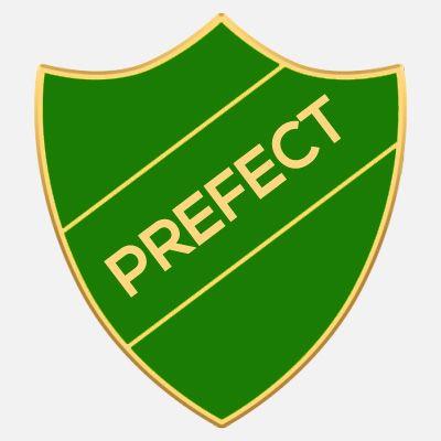 Green X Logo - Prefect Badges - Green 22mm x 25mm - The Badgeman Ltd