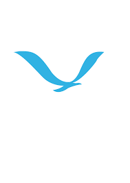 Bird Logo - flying bird logo community. Bird
