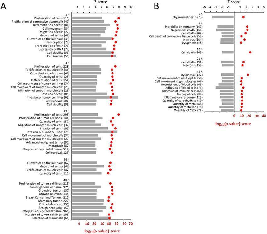 Stretched P Logo - Functional analysis of differentially expressed genes in stretched ...