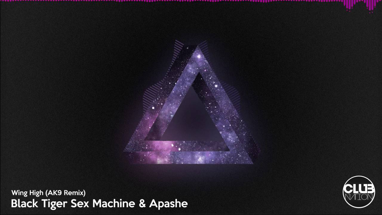 Purple and Black Tiger Logo - Black Tiger Sex Machine & Apashe - Swing High (AK9 Remix) - YouTube